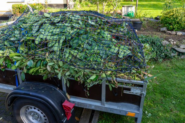 Professional Junk Removal Services in Valdosta, GA